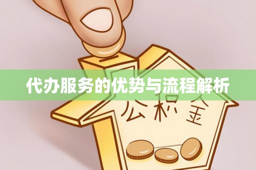分宜代办服务的优势与流程解析