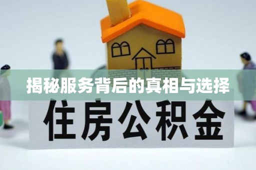 分宜揭秘服务背后的真相与选择