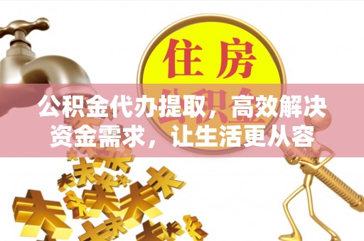 分宜公积金代办提取，高效解决资金需求，让生活更从容