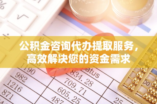分宜公积金咨询代办提取服务，高效解决您的资金需求