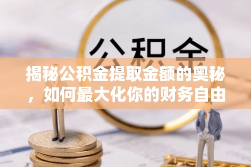 分宜揭秘公积金提取金额的奥秘，如何最大化你的财务自由
