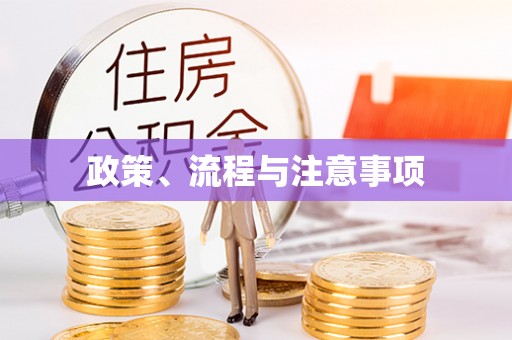 分宜政策、流程与注意事项