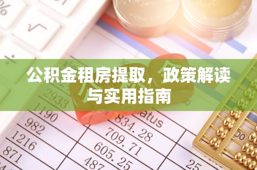 分宜公积金租房提取，政策解读与实用指南
