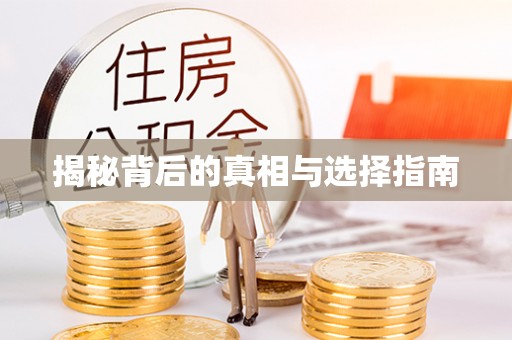 分宜揭秘背后的真相与选择指南