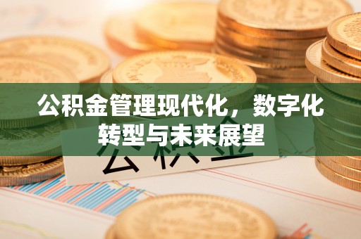 分宜公积金管理现代化，数字化转型与未来展望