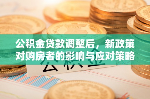 分宜公积金贷款调整后，新政策对购房者的影响与应对策略