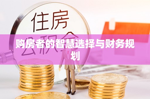 分宜购房者的智慧选择与财务规划