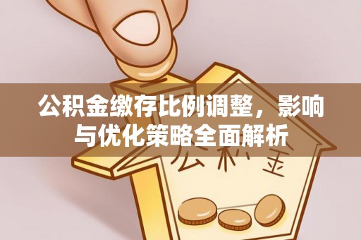 分宜公积金缴存比例调整，影响与优化策略全面解析