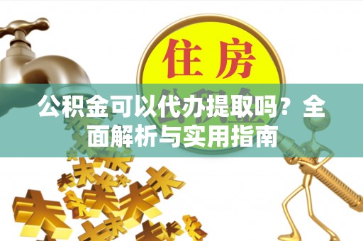 分宜公积金可以代办提取吗？全面解析与实用指南