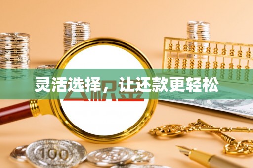 分宜灵活选择，让还款更轻松