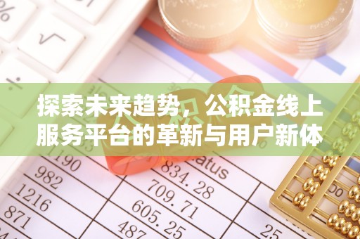 分宜探索未来趋势，公积金线上服务平台的革新与用户新体验