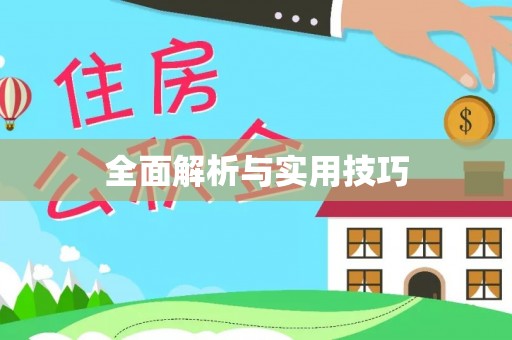 分宜全面解析与实用技巧