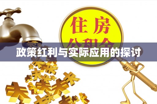 分宜政策红利与实际应用的探讨