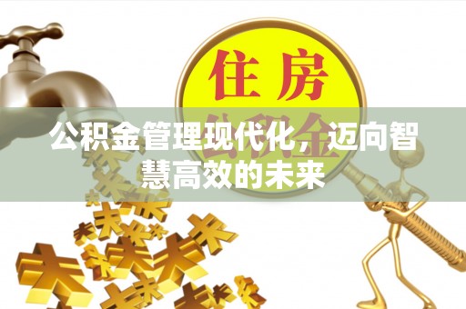 分宜公积金管理现代化，迈向智慧高效的未来