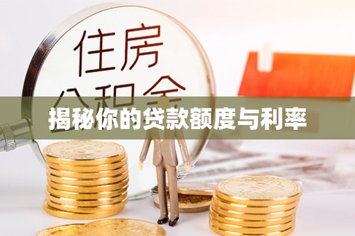 分宜揭秘你的贷款额度与利率