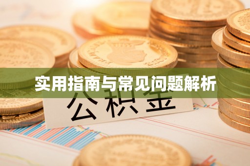 分宜实用指南与常见问题解析