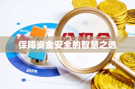 分宜保障资金安全的智慧之选