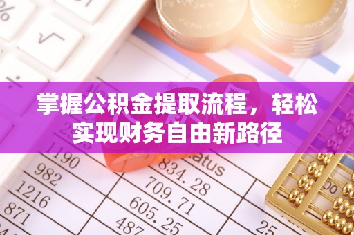 分宜掌握公积金提取流程，轻松实现财务自由新路径