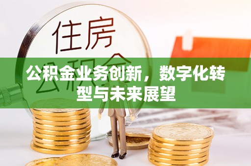 分宜公积金业务创新，数字化转型与未来展望