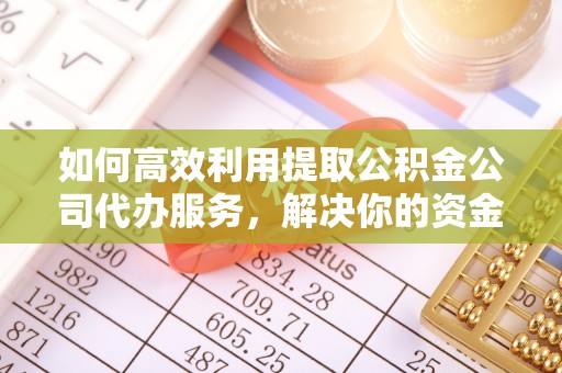 分宜如何高效利用提取公积金公司代办服务，解决你的资金难题
