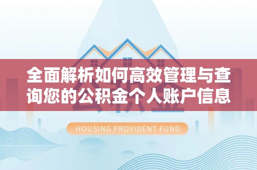 分宜全面解析如何高效管理与查询您的公积金个人账户信息