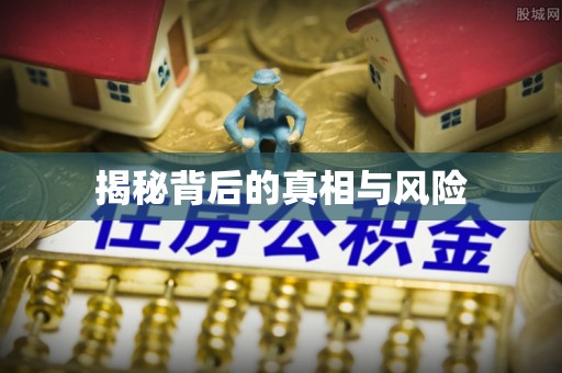 分宜揭秘背后的真相与风险