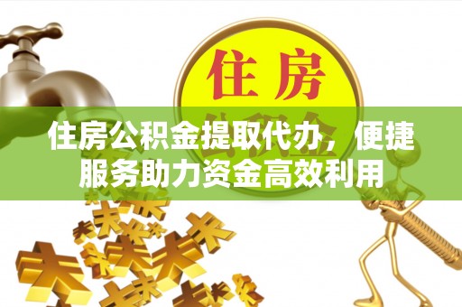 分宜住房公积金提取代办，便捷服务助力资金高效利用