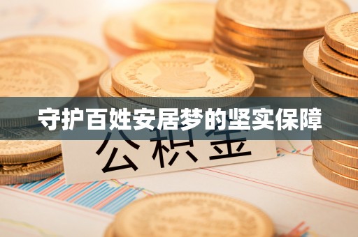 分宜守护百姓安居梦的坚实保障