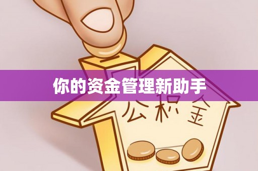 分宜你的资金管理新助手