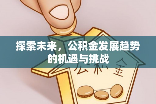 分宜探索未来，公积金发展趋势的机遇与挑战