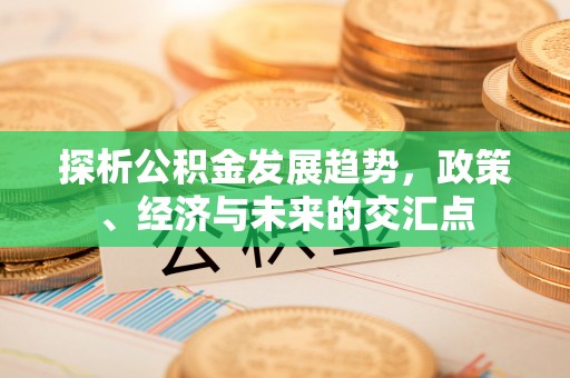 分宜探析公积金发展趋势，政策、经济与未来的交汇点