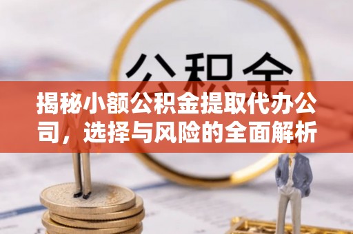 分宜揭秘小额公积金提取代办公司，选择与风险的全面解析