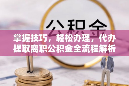 分宜掌握技巧，轻松办理，代办提取离职公积金全流程解析