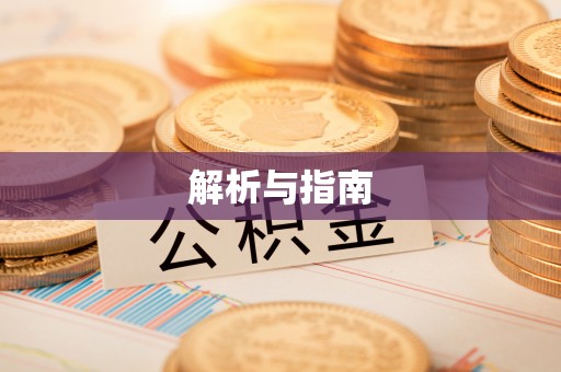 分宜解析与指南