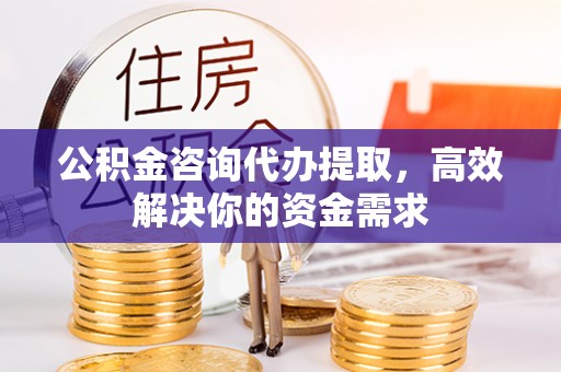 分宜公积金咨询代办提取，高效解决你的资金需求