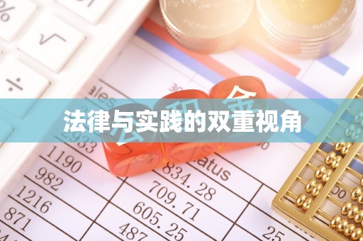 分宜法律与实践的双重视角
