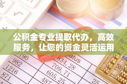 分宜公积金专业提取代办，高效服务，让您的资金灵活运用