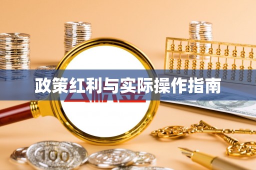 分宜政策红利与实际操作指南
