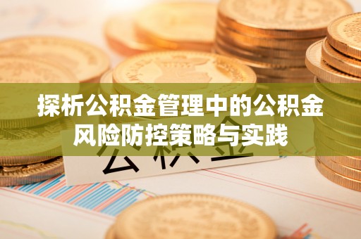 分宜探析公积金管理中的公积金风险防控策略与实践