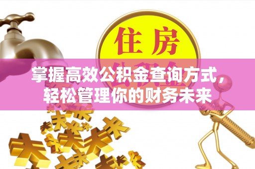 分宜掌握高效公积金查询方式，轻松管理你的财务未来