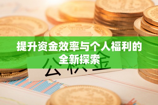 分宜提升资金效率与个人福利的全新探索