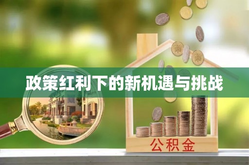 分宜政策红利下的新机遇与挑战