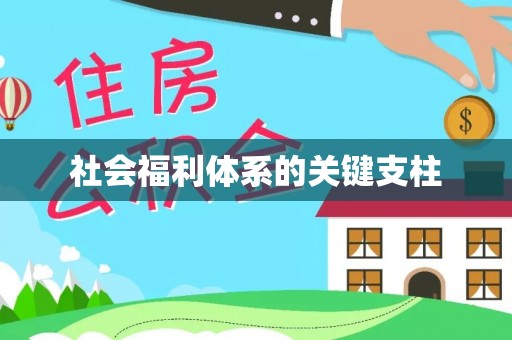 分宜社会福利体系的关键支柱