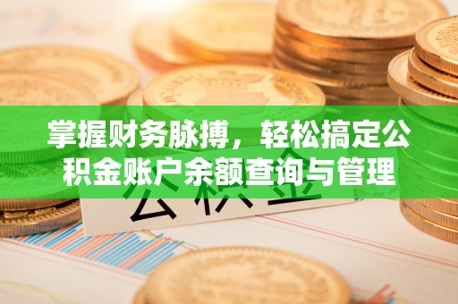 分宜掌握财务脉搏，轻松搞定公积金账户余额查询与管理