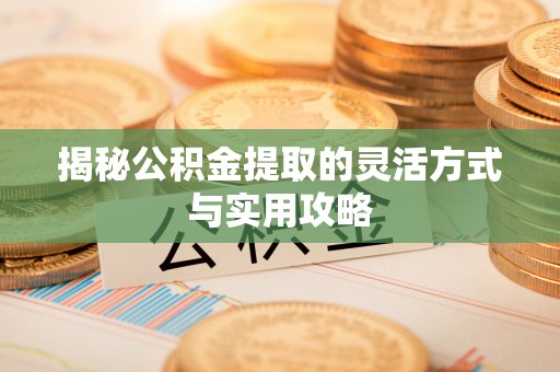 分宜揭秘公积金提取的灵活方式与实用攻略