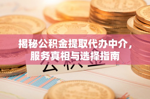 分宜揭秘公积金提取代办中介，服务真相与选择指南
