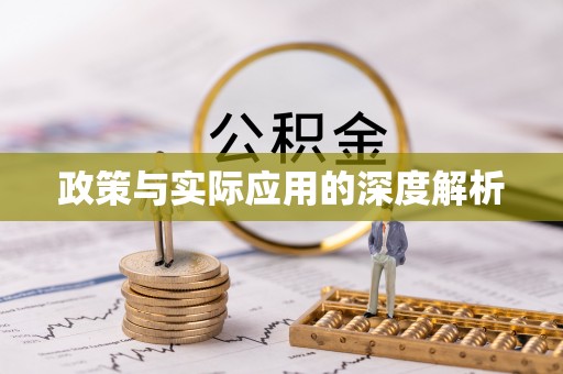 分宜政策与实际应用的深度解析