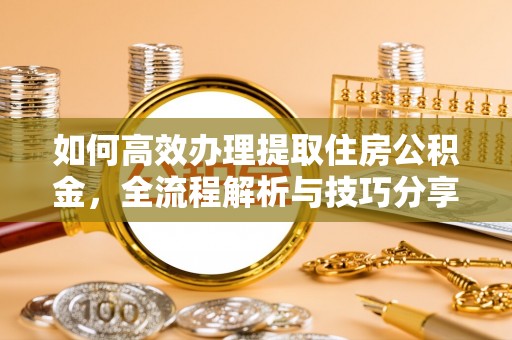分宜如何高效办理提取住房公积金，全流程解析与技巧分享