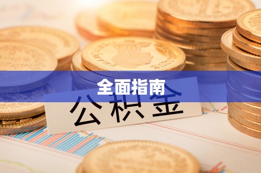 分宜全面指南