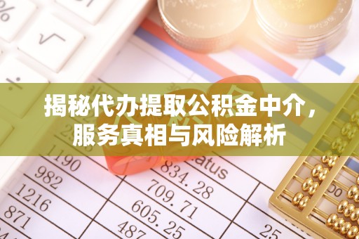 分宜揭秘代办提取公积金中介，服务真相与风险解析